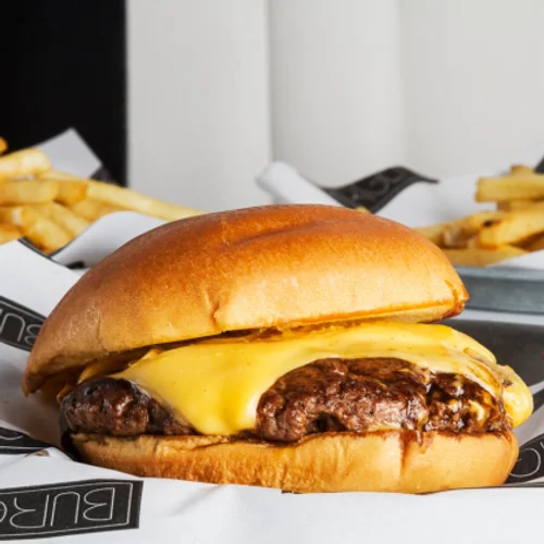 Combo Plain cheese burger