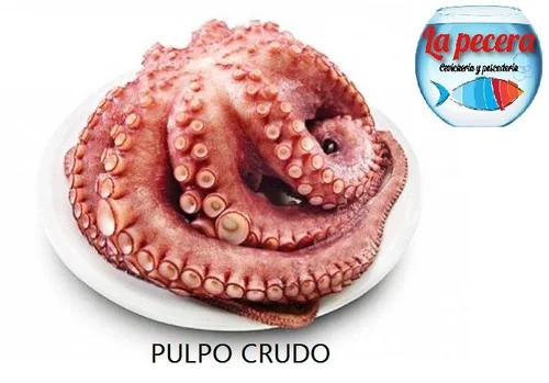Pulpo Crudo